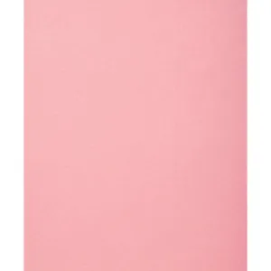 Felt Sheet 09 x 12in Pink